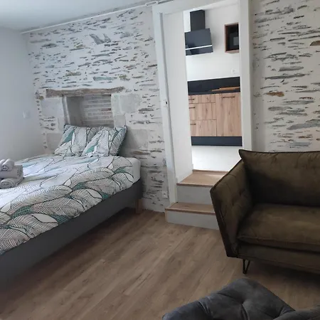 La Douce Angevine - La Perruche - Proche Centre Apartment *