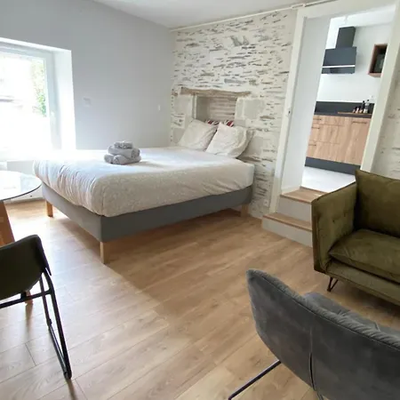 La Douce Angevine - La Perruche - Proche Centre Apartment Angers