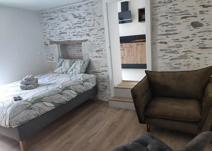 La Douce Angevine - La Perruche - Proche Centre Daire *