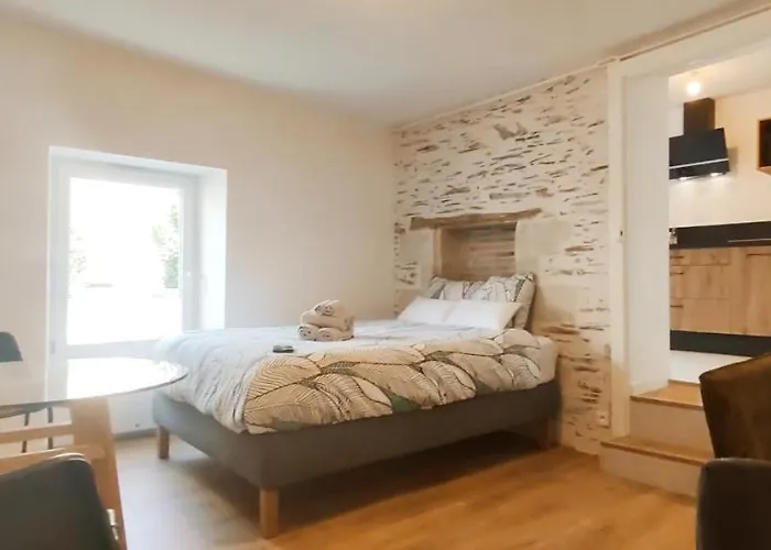 La Douce Angevine - La Perruche - Proche Centre Angers