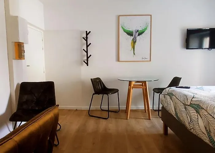 La Douce Angevine - La Perruche - Proche Centre * Angers