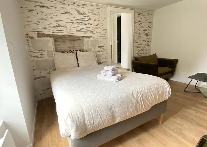 La Douce Angevine - La Perruche - Proche Centre Apartman